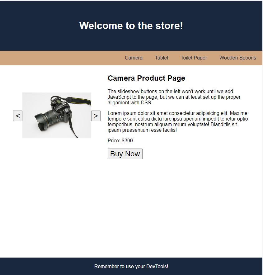  A camera page with camera proudct in the middle and description of product and price to its left